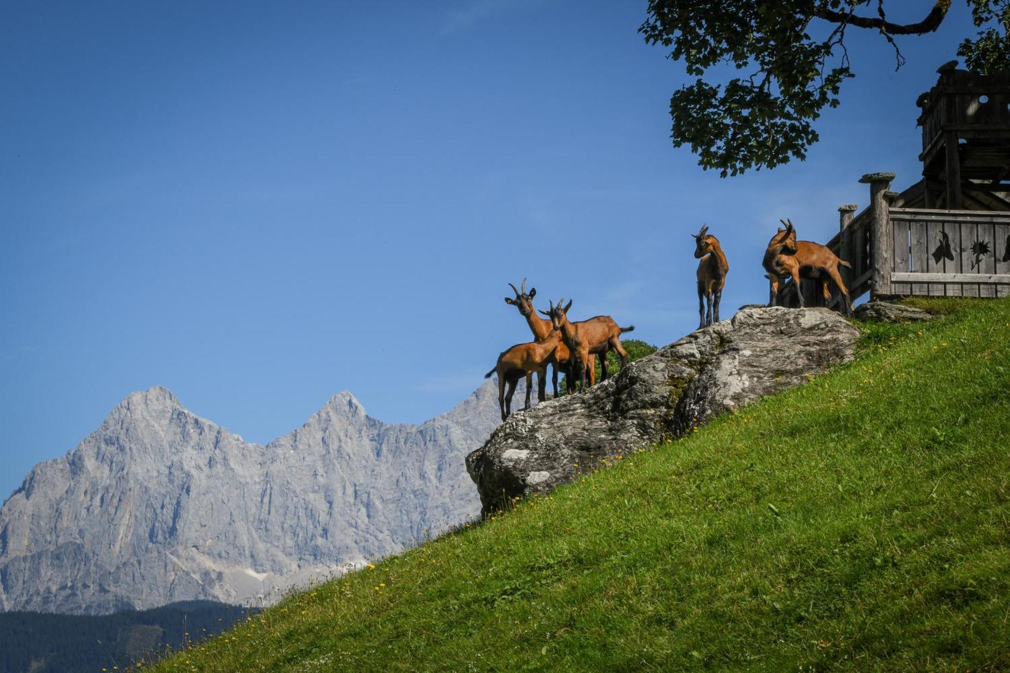 Strickhof Villa Schladming Bagian luar foto