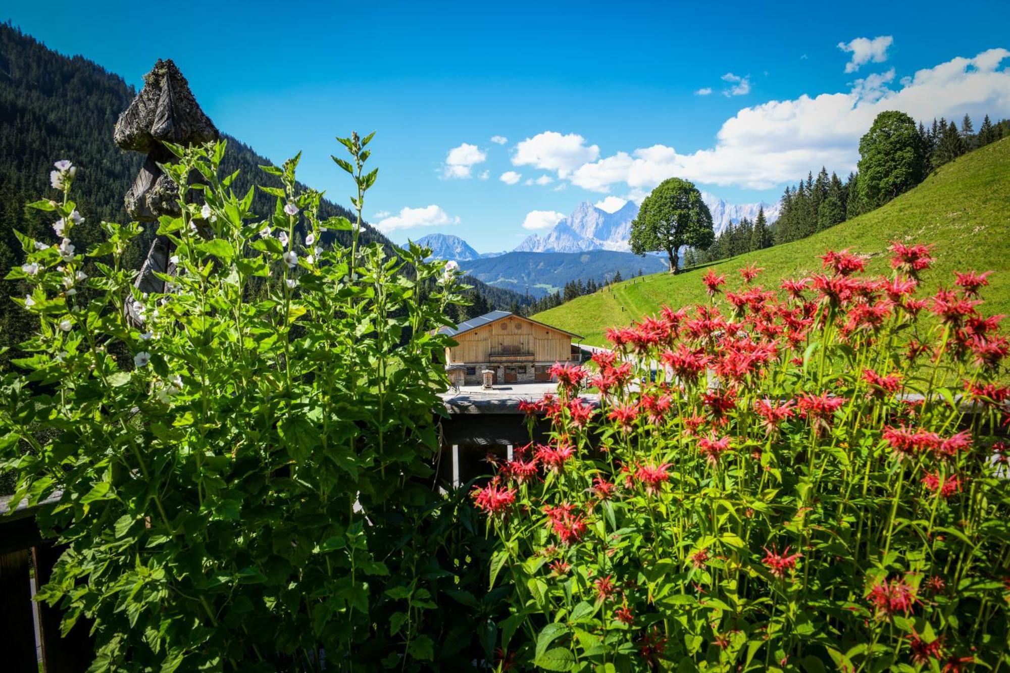 Strickhof Villa Schladming Bagian luar foto