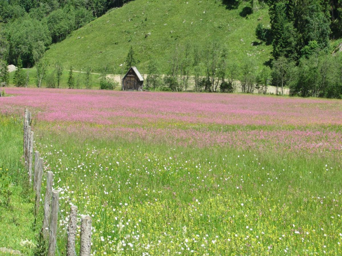 Strickhof Villa Schladming Bagian luar foto
